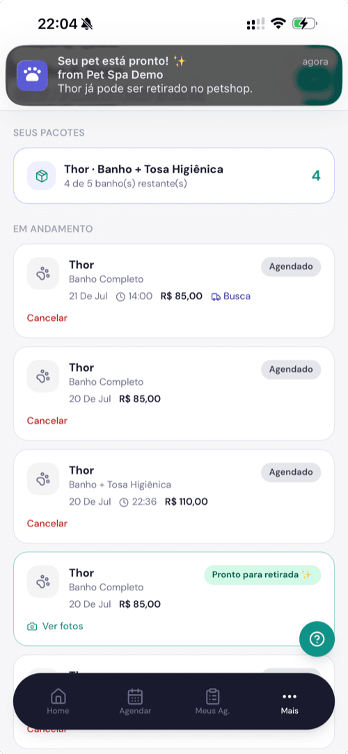 Notificação de pet pronto