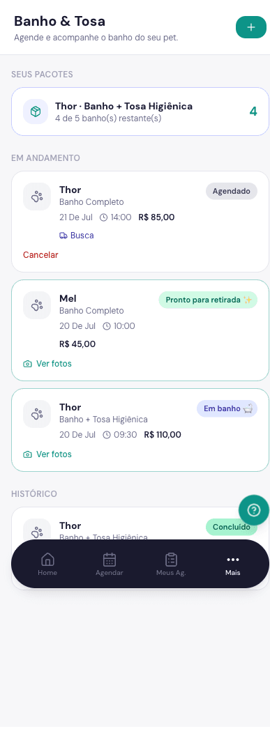 Acompanhamento em tempo real